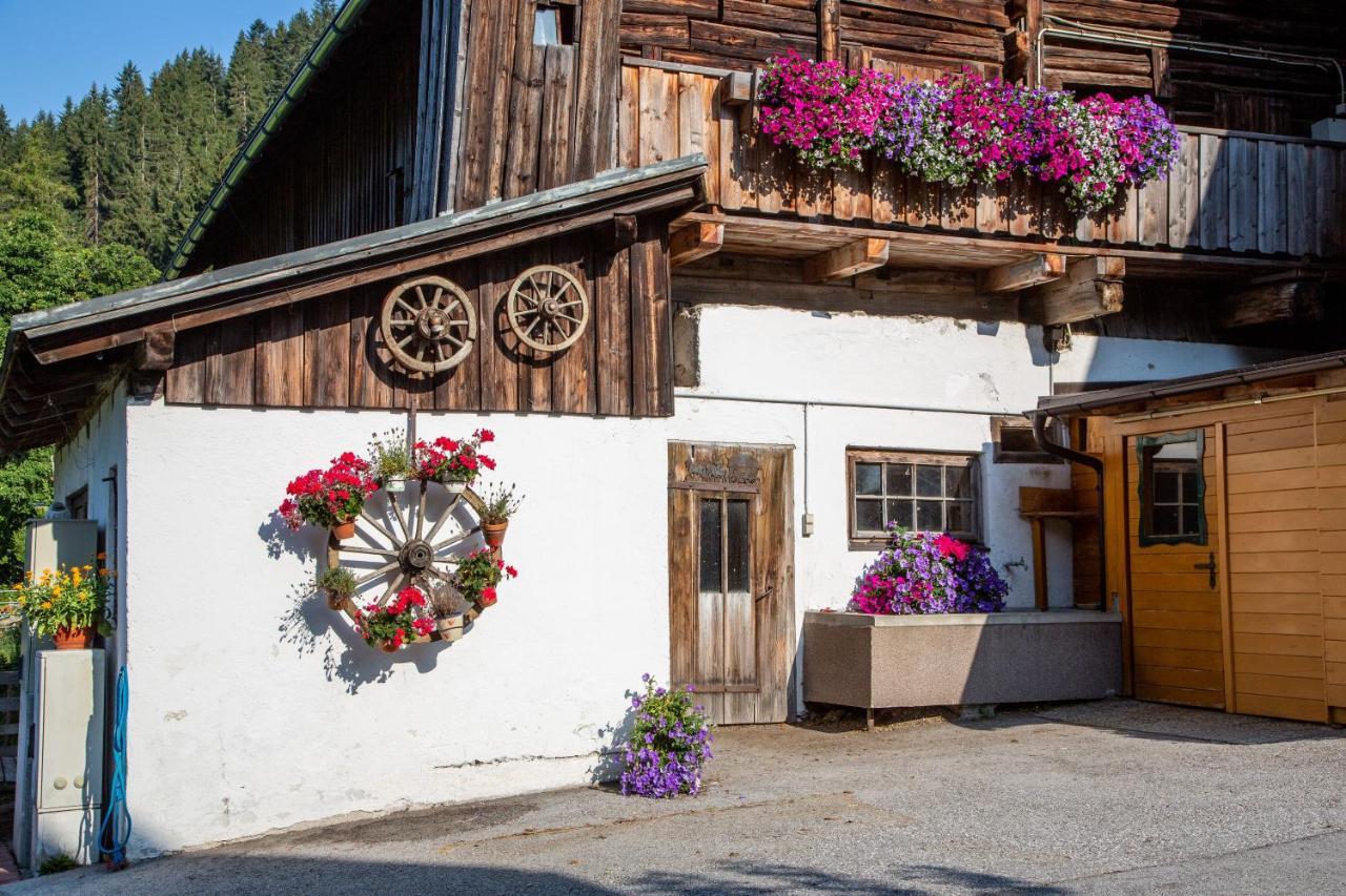 Hostal Bio-Bauernhof Grundlehnerhof Ramsau am Dachstein Exterior foto