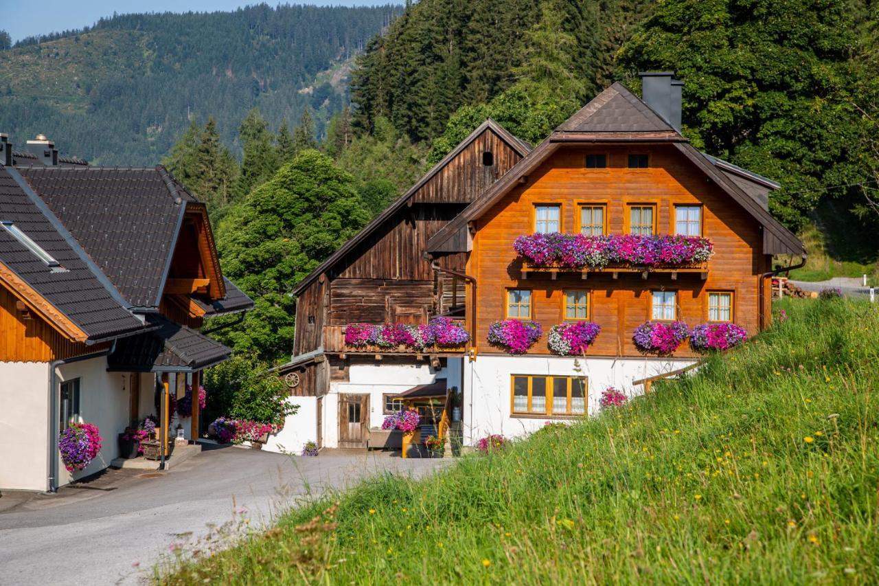 Hostal Bio-Bauernhof Grundlehnerhof Ramsau am Dachstein Exterior foto