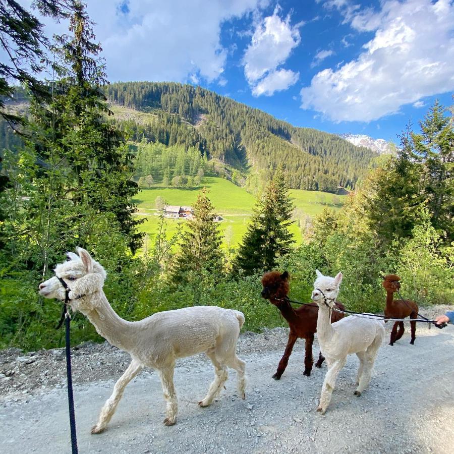 Hostal Bio-Bauernhof Grundlehnerhof Ramsau am Dachstein Exterior foto