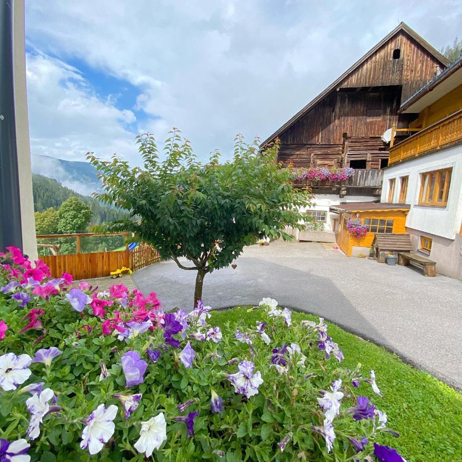 Hostal Bio-Bauernhof Grundlehnerhof Ramsau am Dachstein Exterior foto